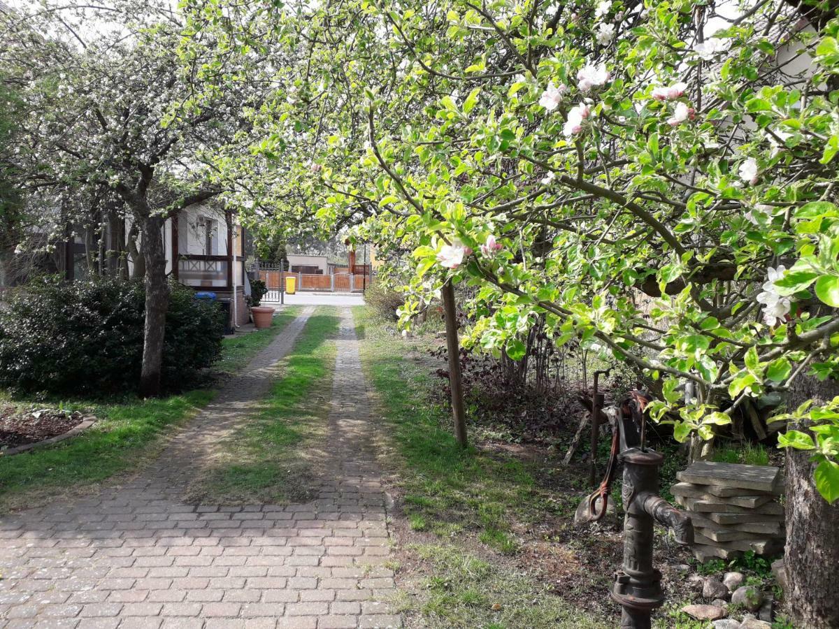 ריינסברג Ferienhaus Gartentraum מראה חיצוני תמונה